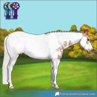 Horse Color:Silver Bay Sabino Tobiano Frame 