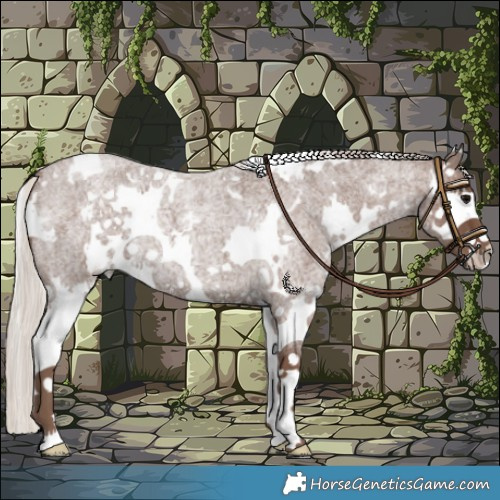 Horse Color:White Spotted Silver Blue Roan Splash 