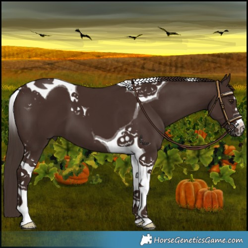 Horse Color:Liver Chestnut Tobiano 