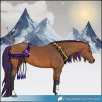 Horse Color:Painted Bay Sabino 