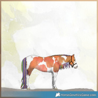 Horse Color:Painted Chocolate Palomino Dun Sabino Tobiano Rabicano 