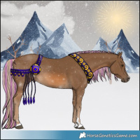 Horse Color:Painted Chocolate Palomino 