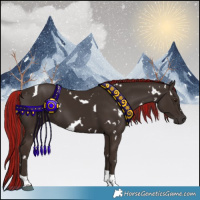 Horse Color:Painted White Spotted Liver Chestnut Tobiano 