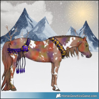 Horse Color:Nacre White Spotted Chestnut 