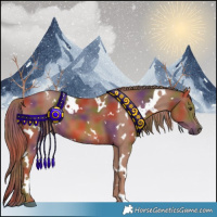 Horse Color:Nacre White Spotted Chestnut 