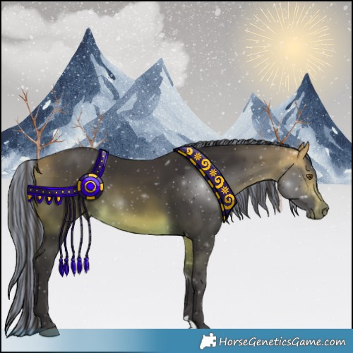 Horse Color:Painted Buckskin 