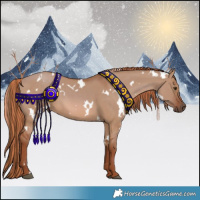 Horse Color:Painted White Spotted Red Dun 