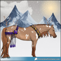 Horse Color:Painted White Spotted Red Dun 