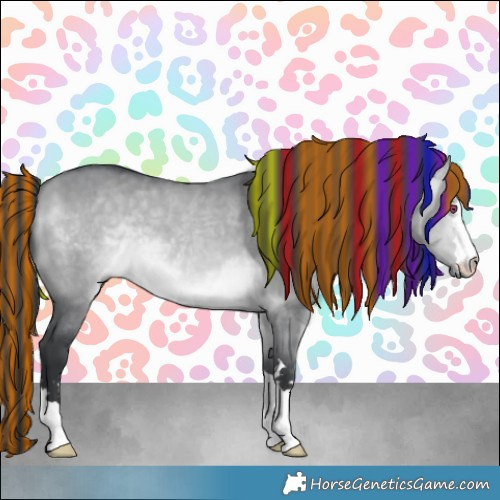 Horse Color:Painted Bay Chinchilla Dun 