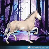 Horse Color:Silver Classic Champagne Dun Splash Frame Varnish 