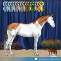 Horse Color:Bay Splash 