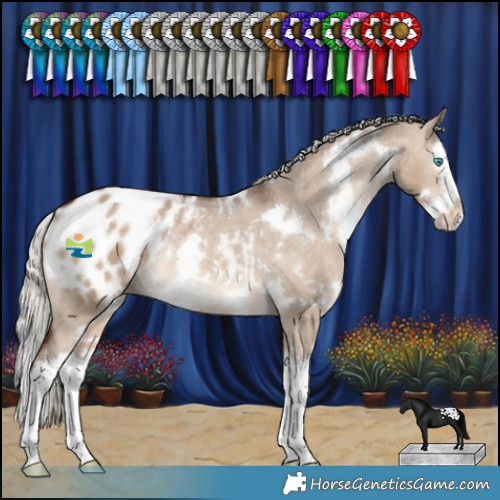 Horse Color:White Spotted Silver Brown Dun Splash Blanket Rabicano 