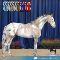 Horse Color:White Spotted Silver Brown Dun Splash Appaloosa Rabicano 