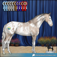 Horse Color:White Spotted Silver Brown Dun Splash Appaloosa Rabicano