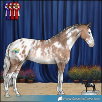 Horse Color:White Spotted Silver Brown Dun Splash Appaloosa Rabicano 