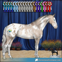 Horse Color:White Spotted Silver Brown Dun Splash Appaloosa Rabicano 