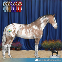 Horse Color:White Spotted Silver Brown Dun Splash Appaloosa Rabicano 