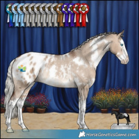Horse Color:White Spotted Silver Brown Dun Splash Appaloosa Rabicano 