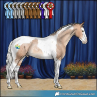 Horse Color:Silver Bay Dun Splash Tobiano Appaloosa Rabicano 