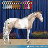 Horse Color:Silver Bay Dun Splash Tobiano Appaloosa Rabicano 