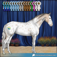 Horse Color:White Spotted Silver Bay Dun Splash Appaloosa Rabicano