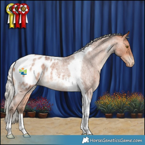Horse Color:Silver Bay Roan Tobiano Appaloosa Rabicano 