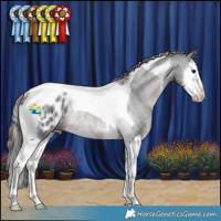 Horse Color:Blue Roan Splash Tobiano Blanket Rabicano 