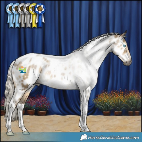 Horse Color:Gray Silver Smoky Grullo Snowdrop Tobiano Appaloosa Rabicano 