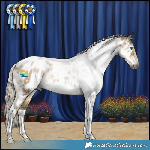 Horse Color:Gray Silver Smoky Grullo Pearl Tobiano Appaloosa Rabicano 