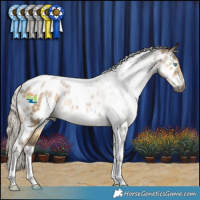 Horse Color:Gray Silver Smoky Grullo Pearl Tobiano Appaloosa Rabicano 