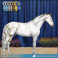 Horse Color:Gray Silver Smoky Grullo Snowdrop Tobiano Appaloosa Rabicano 