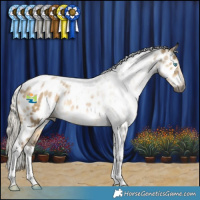Horse Color:Gray Silver Smoky Grullo Snowdrop Tobiano Near Leopard Rabicano 