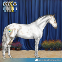 Horse Color:Gray Silver Smoky Grullo Pearl Tobiano Appaloosa Rabicano