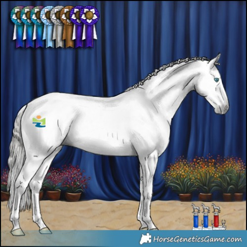 Horse Color:Gray White Spotted Black Splash Tobiano Near Fewspot Rabicano 