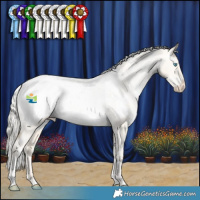 Horse Color:White Spotted Silver Smoky Grullo Pearl Appaloosa Rabicano 