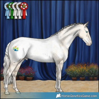 Horse Color:White Spotted Silver Smoky Grullo Pearl Appaloosa Rabicano 