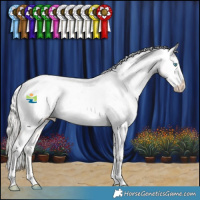 Horse Color:White Spotted Silver Smoky Grullo Pearl Appaloosa Rabicano 