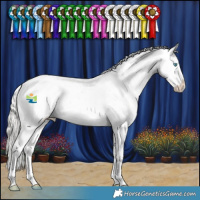 Horse Color:White Spotted Silver Smoky Grullo Pearl Appaloosa Rabicano 