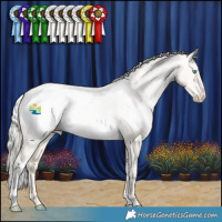 Horse Color:White Spotted Silver Smoky Grullo Pearl Appaloosa Rabicano 