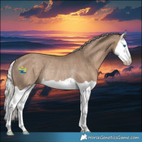 Horse Color:Silver Grullo Splash Rabicano