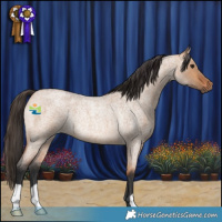 Horse Color:Bay Roan Dun Rabicano