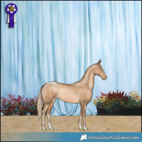 Horse Color:Chocolate Palomino Pearl Rabicano