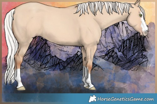 Horse Color:Silver Amber Champagne Dun
