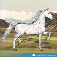 Horse Color:Silver Bay Dun Tobiano Appaloosa Rabicano