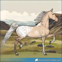 Horse Color:Silver Bay Dun Tobiano Appaloosa Rabicano 