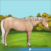 Horse Color:Silver Black Pearl