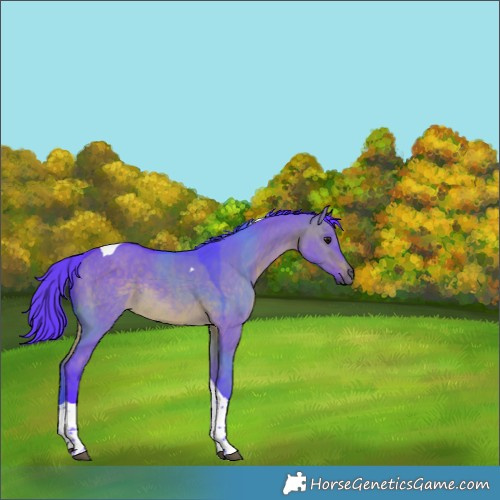 Horse Color:Watercolor Brown Dun Tobiano Rabicano 