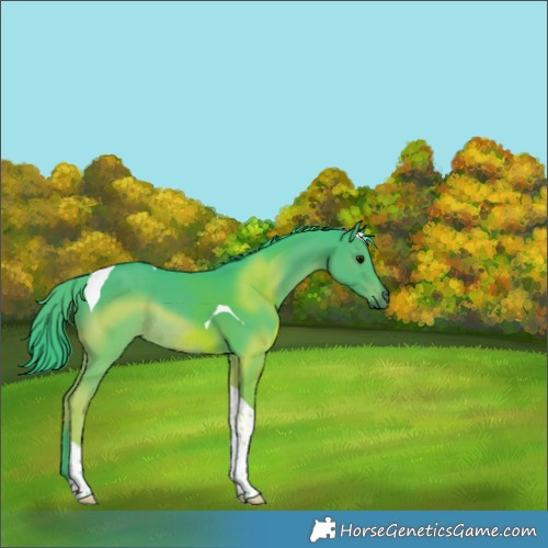 Horse Color:Watercolor Black Tobiano Rabicano 