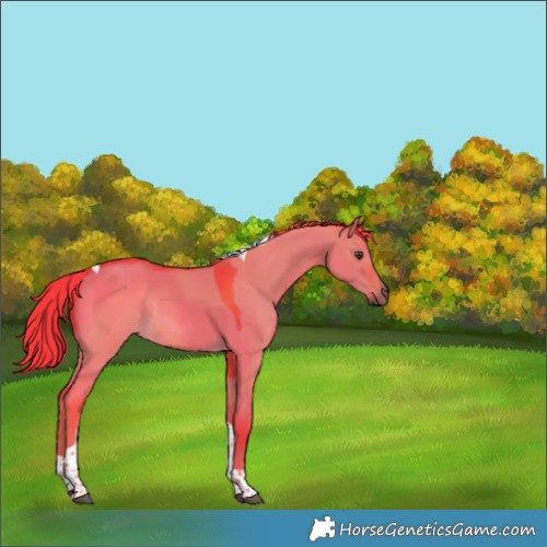 Horse Color:Watercolor Liver Red Dun Tobiano Rabicano 