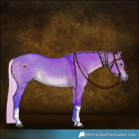 Horse Color:Watercolor Silver Brown Dun Tobiano Rabicano